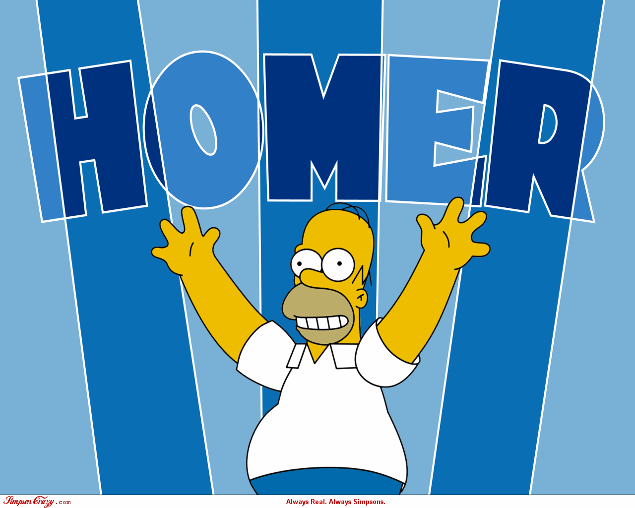 Homer11_1280.png